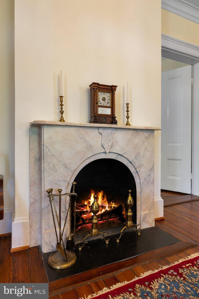 detailed view of wood finished floors, a high end fireplace, and baseboards