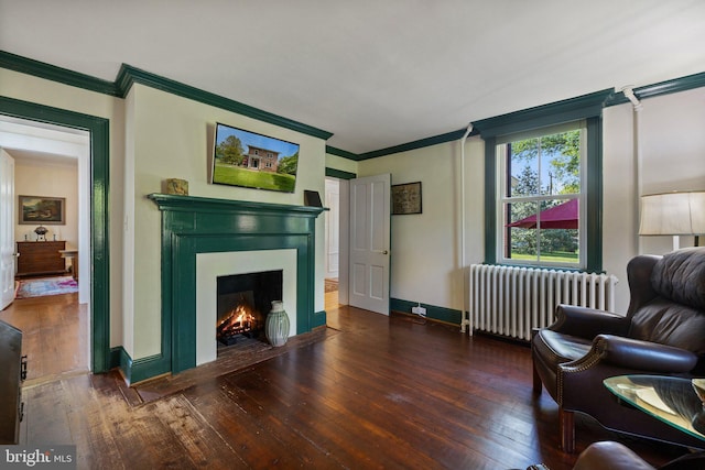 living room featuring radiator heating unit, ornamental molding, hardwood / wood-style floors, a fireplace with flush hearth, and baseboards
