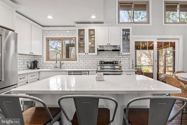kitchen with a sink, stainless steel appliances, a breakfast bar area, and under cabinet range hood