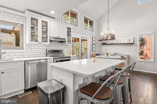 kitchen with white cabinetry, a center island, under cabinet range hood, decorative backsplash, and appliances with stainless steel finishes