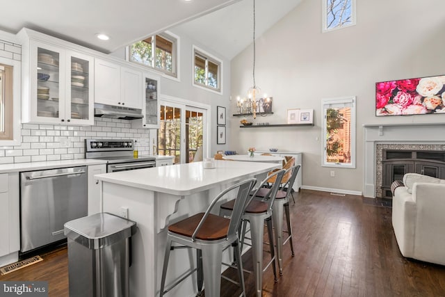 kitchen with white cabinetry, light countertops, appliances with stainless steel finishes, and under cabinet range hood