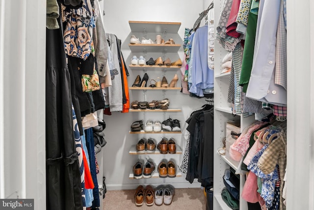 spacious closet featuring carpet floors