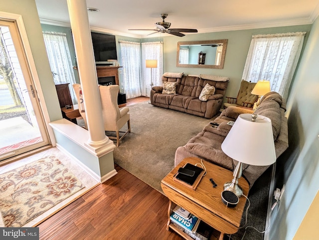 living room with crown molding, wood finished floors, visible vents, and ceiling fan