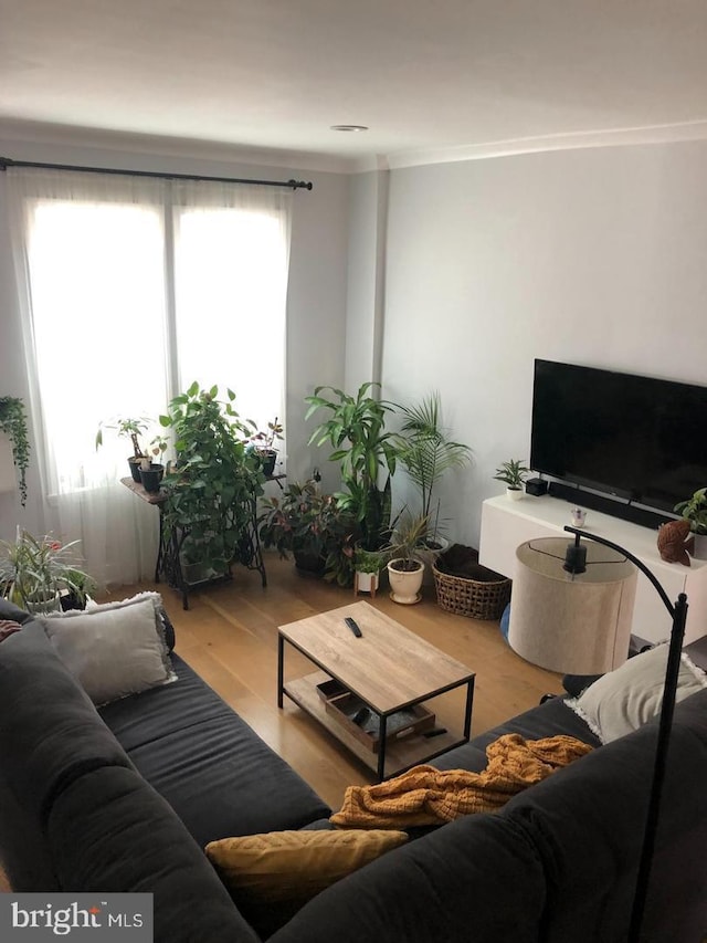 living area with a wealth of natural light, wood finished floors, and ornamental molding