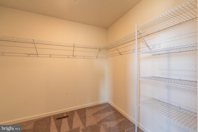 spacious closet with carpet flooring and visible vents