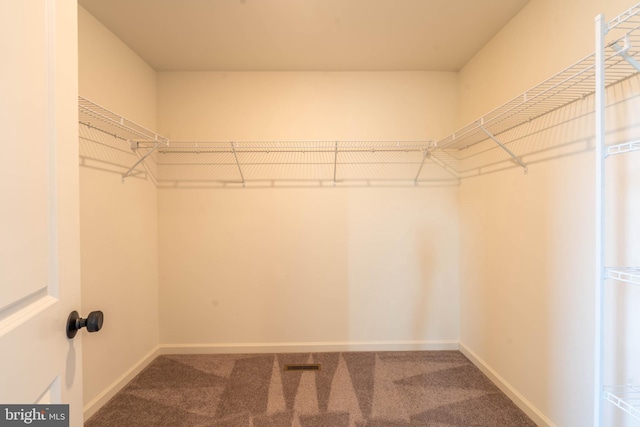 walk in closet featuring visible vents and carpet