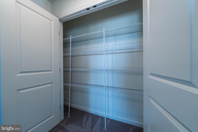 view of closet