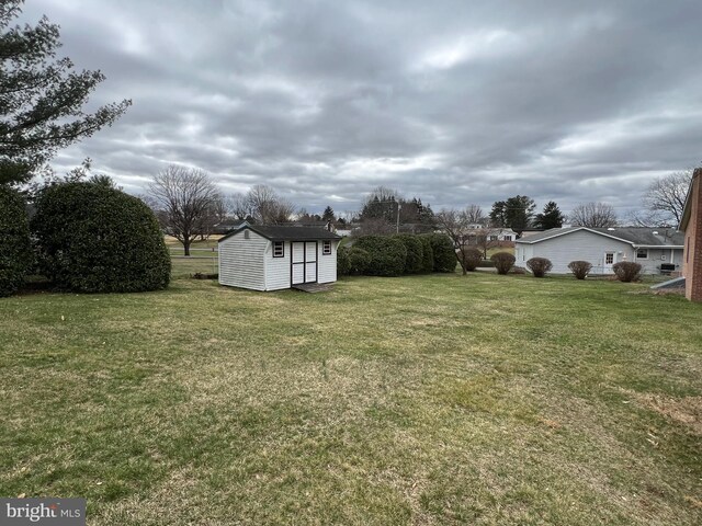 view of yard featuring an outdoor structure and a storage unit
