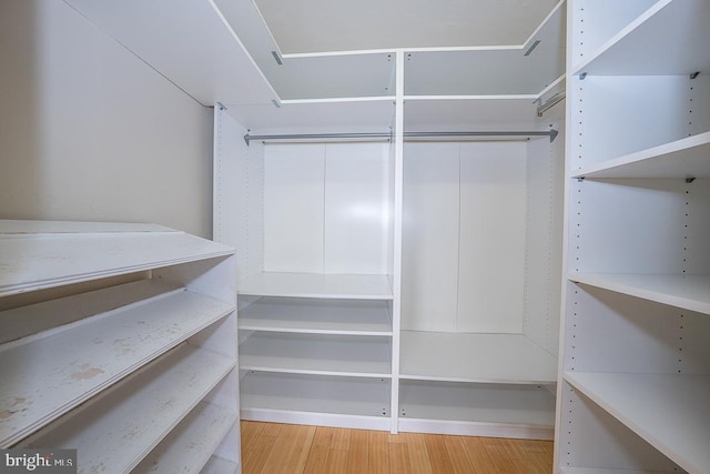 50 Belmont Ave Unit 1010, Bala Cynwyd, PA 19004 - spacious closet featuring wood finished floors
