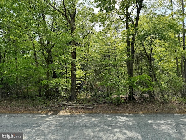 Old Marshall Hall Rd, Accokeek, MD 20607