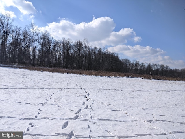 1241 Sheep Hill Rd Lot 2A, Pottstown, PA 19465 - yard covered in snow featuring a wooded view