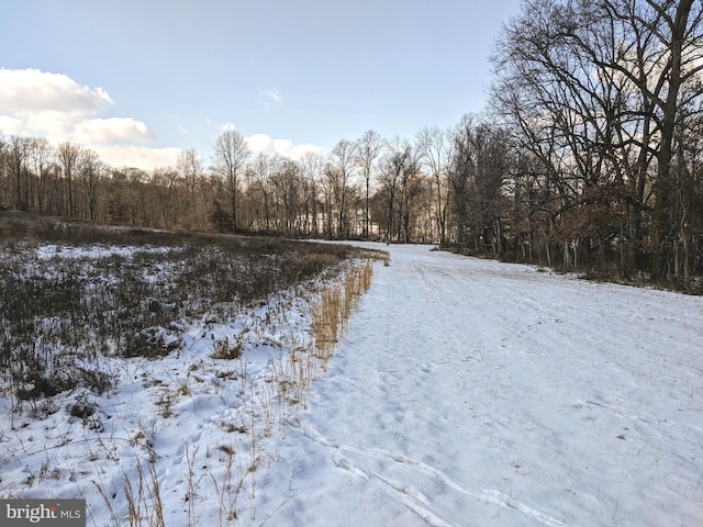 1241 Sheep Hill Rd Lot 2A, Pottstown, PA 19465 - view of dirt / gravel road featuring a view of trees