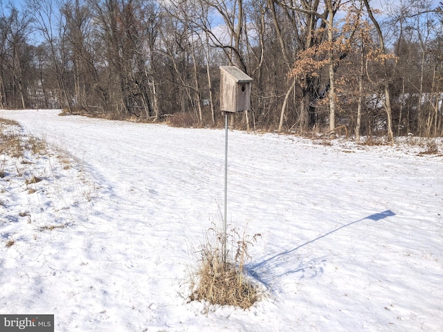 1241 Sheep Hill Rd Lot 2A, Pottstown, PA 19465 - view of yard layered in snow