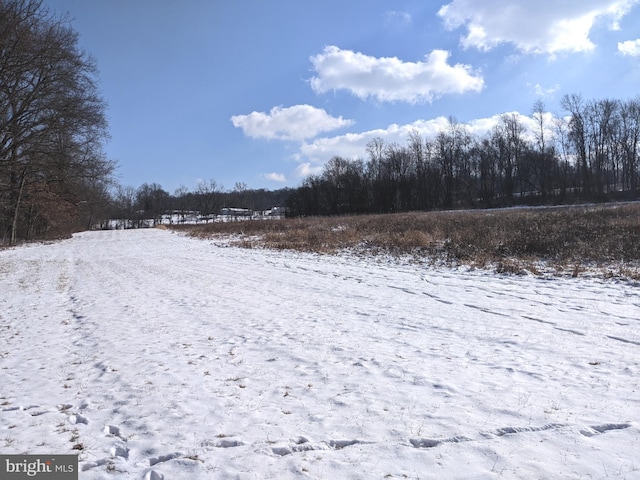 1241 Sheep Hill Rd Lot 2A, Pottstown, PA 19465 - view of snowy yard