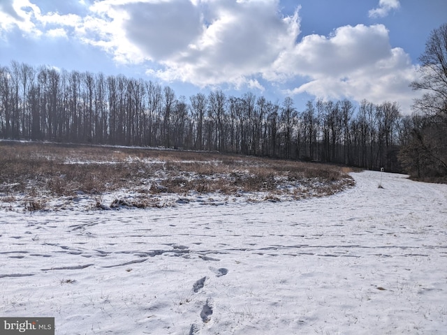 1241 Sheep Hill Rd Lot 2A, Pottstown, PA 19465 - view of snow covered land featuring a forest view