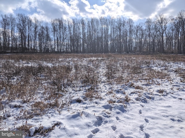 1241 Sheep Hill Rd Lot 2A, Pottstown, PA 19465 - view of nature