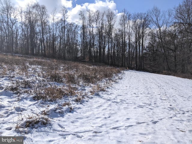 1241 Sheep Hill Rd Lot 2A, Pottstown, PA 19465 - view of snowy view