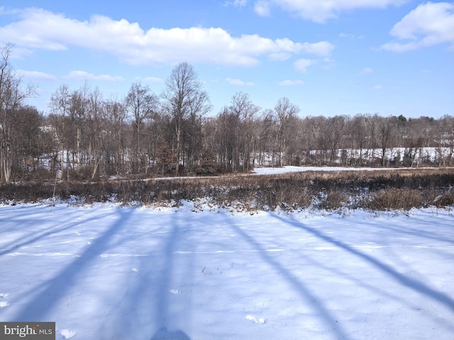 1241 Sheep Hill Rd Lot 2A, Pottstown, PA 19465 - view of yard covered in snow