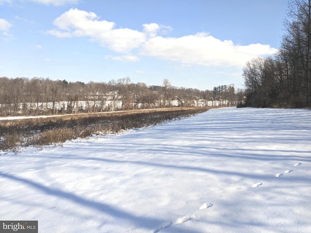 1241 Sheep Hill Rd Lot 2A, Pottstown, PA 19465 - yard layered in snow featuring a view of trees