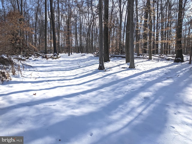 1241 Sheep Hill Rd Lot 2A, Pottstown, PA 19465 - view of yard covered in snow