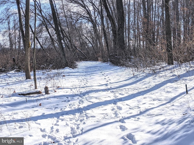 1241 Sheep Hill Rd Lot 2A, Pottstown, PA 19465 - view of yard