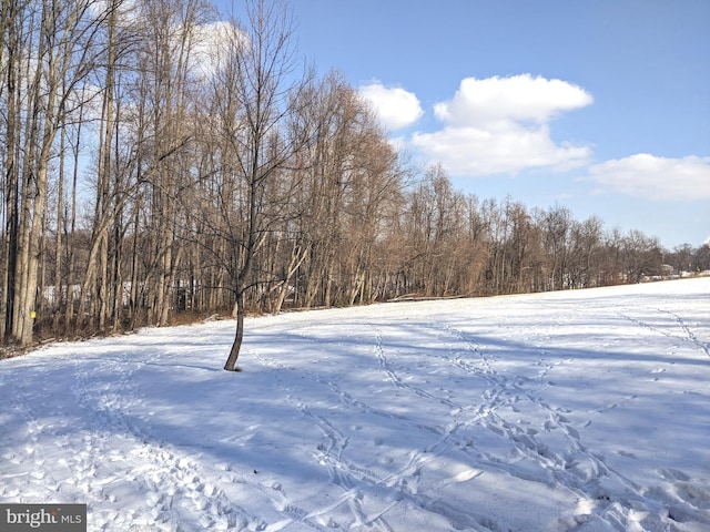 1241 Sheep Hill Rd Lot 2A, Pottstown, PA 19465 - yard covered in snow with a wooded view