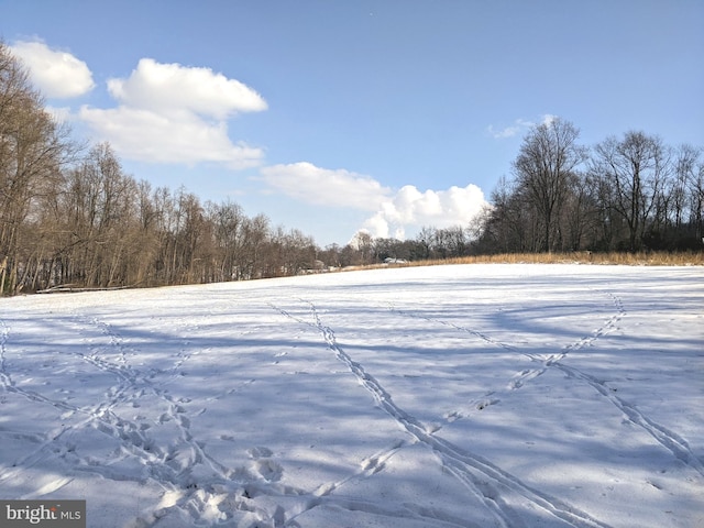 1241 Sheep Hill Rd Lot 2A, Pottstown, PA 19465 - view of yard featuring a view of trees
