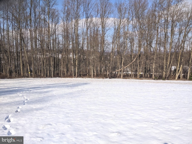 1241 Sheep Hill Rd Lot 2A, Pottstown, PA 19465 - view of snowy yard