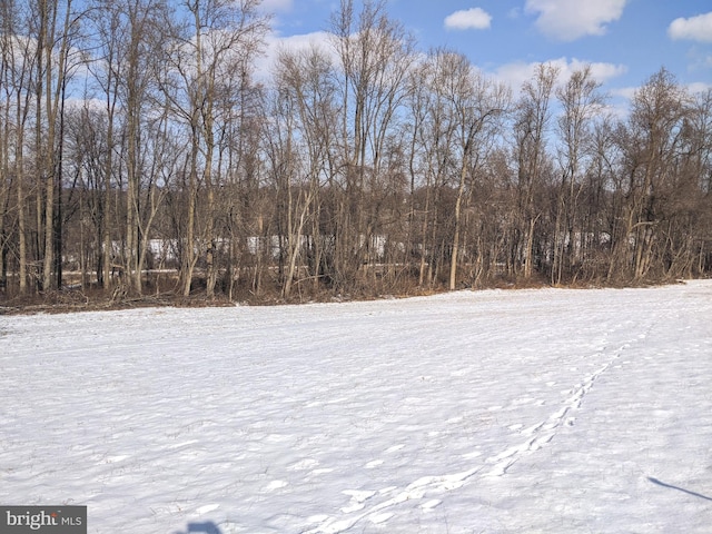 1241 Sheep Hill Rd Lot 2A, Pottstown, PA 19465 - view of yard