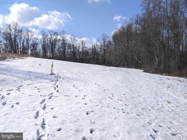 1241 Sheep Hill Rd Lot 2A, Pottstown, PA 19465 - view of snowy yard