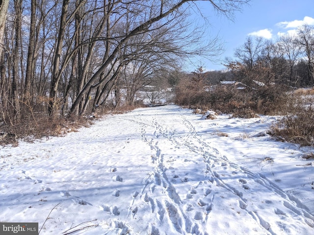 1241 Sheep Hill Rd Lot 2A, Pottstown, PA 19465 - view of snowy yard