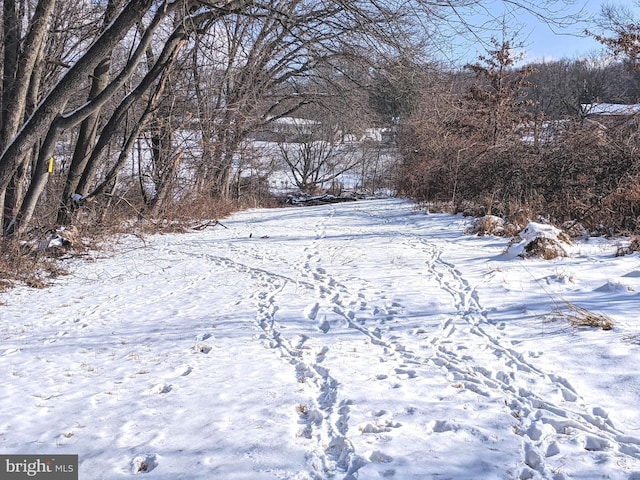 1241 Sheep Hill Rd Lot 2A, Pottstown, PA 19465 - view of yard covered in snow