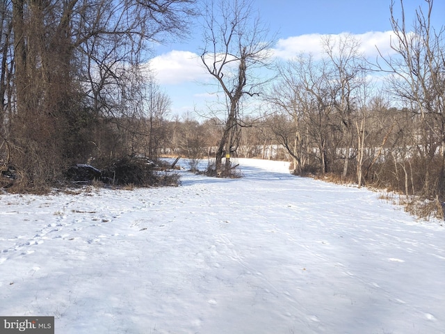 1241 Sheep Hill Rd Lot 2A, Pottstown, PA 19465 - view of snowy yard