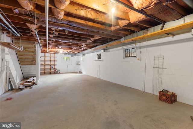 22 E Howell Ave, Alexandria, VA 22301 - view of below grade area