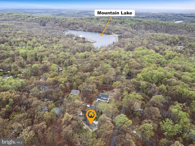 birds eye view of property with a view of trees and a water view
