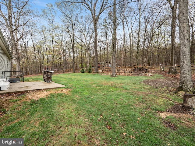 view of yard featuring a patio area
