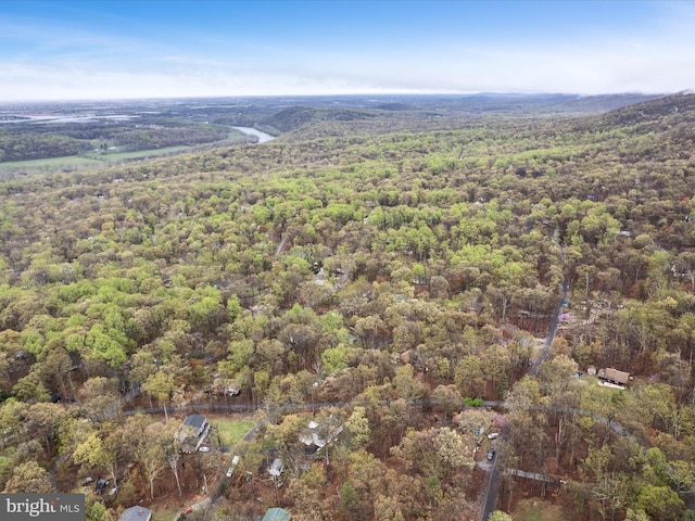 bird's eye view with a forest view