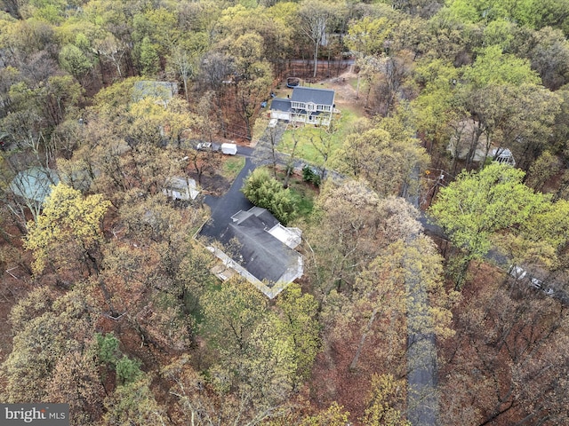 bird's eye view with a forest view