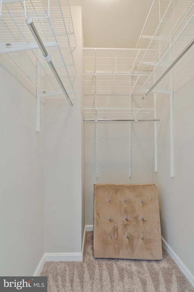 1860 Stratford Park Pl Unit 306, Reston, VA 20190 - spacious closet featuring carpet floors