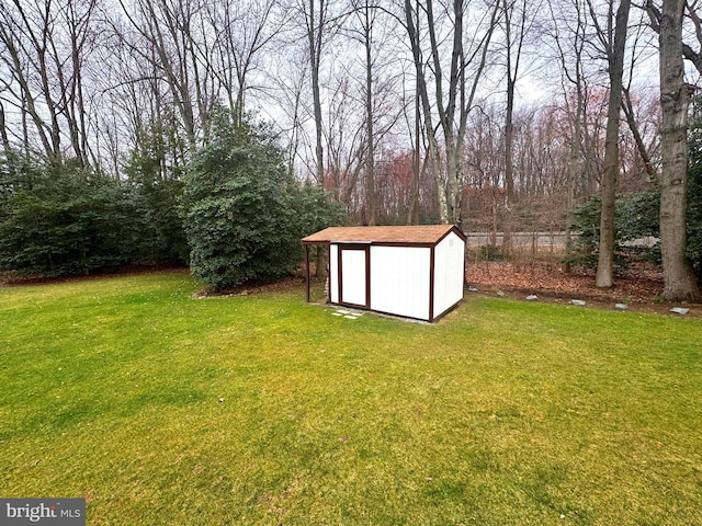 view of yard with a storage shed and an outbuilding