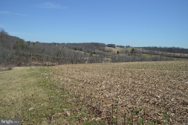 view of nature with a rural view