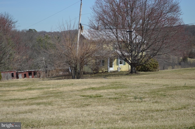 view of yard