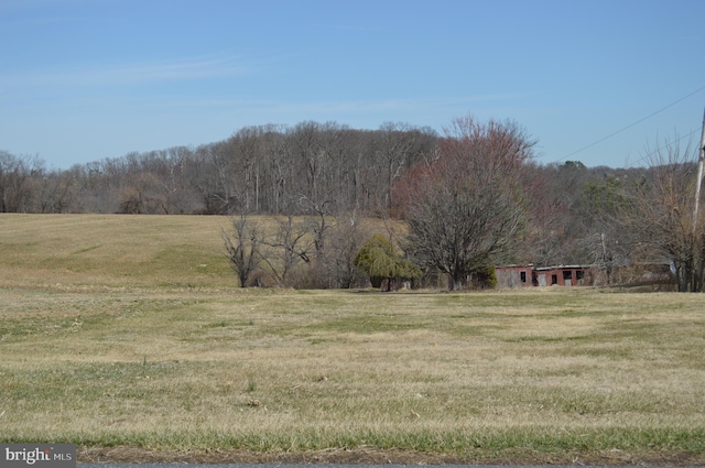 view of yard featuring a rural view and a wooded view