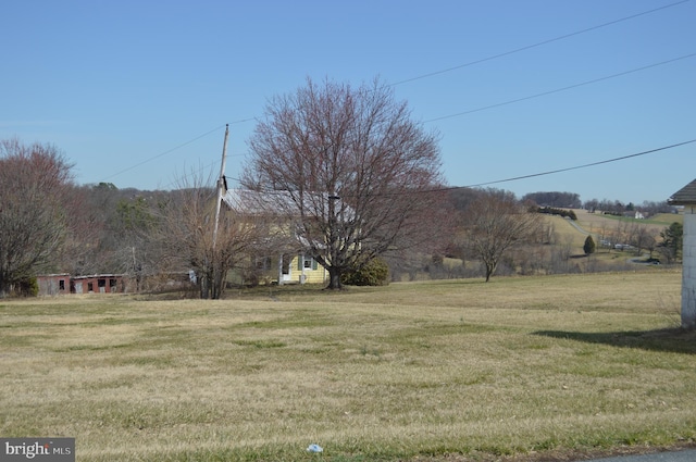 view of yard