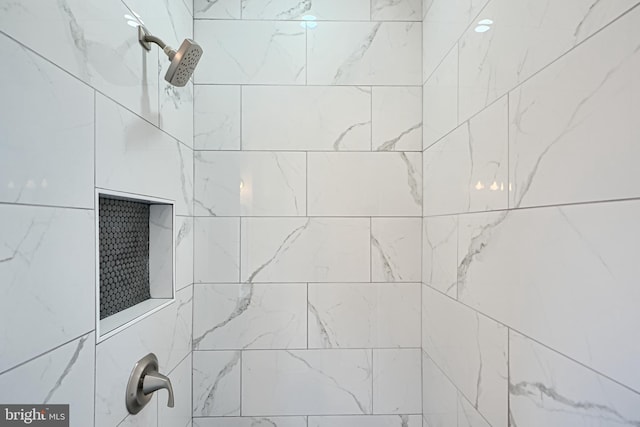 room details with tiled shower