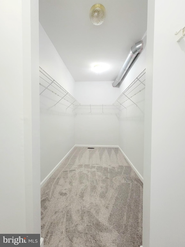 spacious closet with carpet