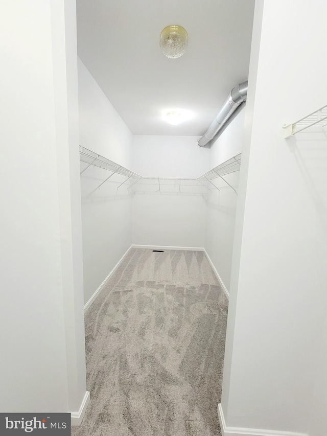 spacious closet with carpet