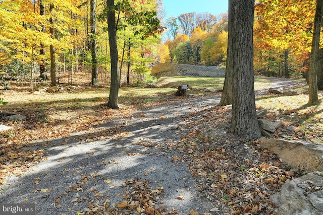 view of road featuring a wooded view