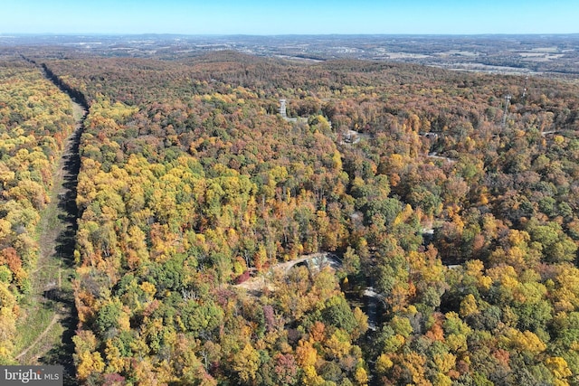 bird's eye view with a forest view