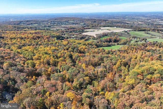 bird's eye view with a forest view